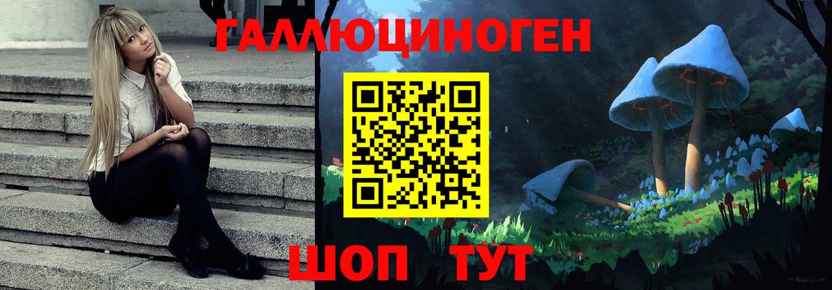 Галлюциногенные грибы MAGIC MUSHROOMS Коряжма