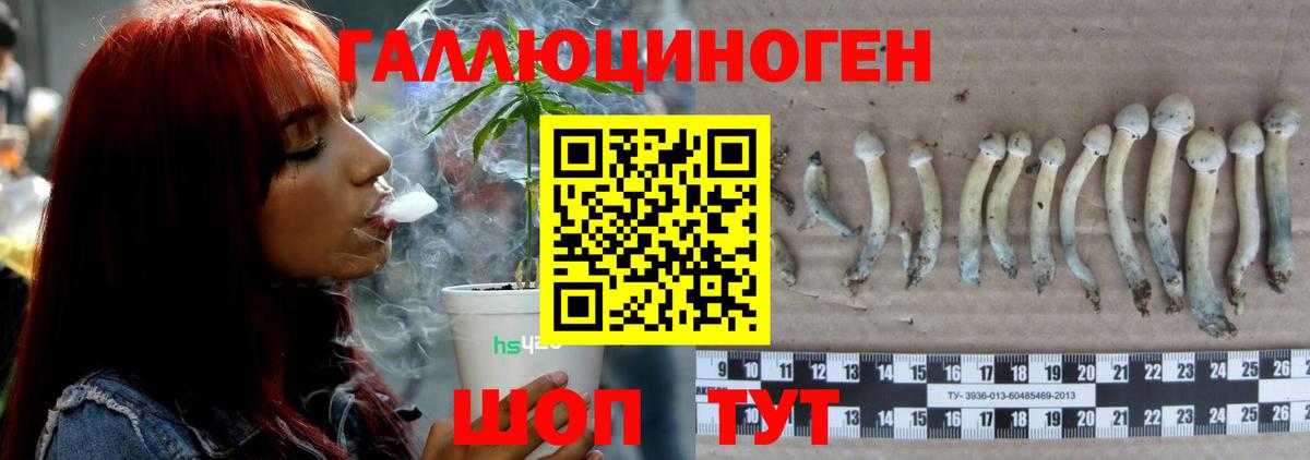 Псилоцибиновые грибы GOLDEN TEACHER  Вход с VPN  Коряжма 